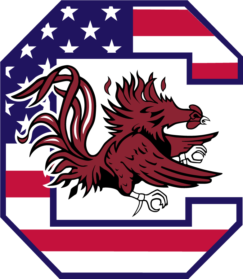 South Carolina Gamecocks 2020-Pres Misc Logo diy iron on heat transfer
